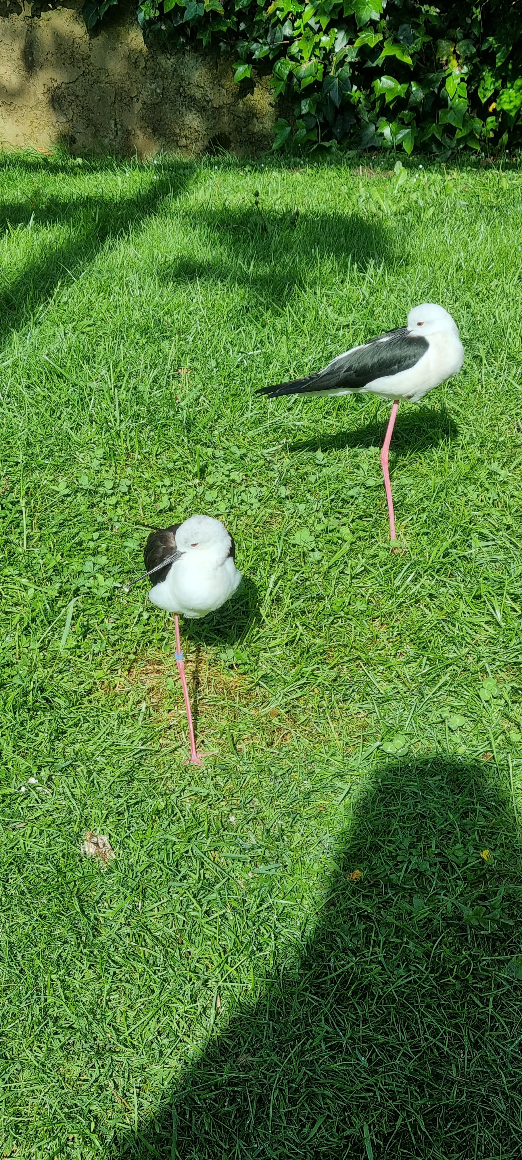Photo n° 9 de l'avis de Anne.a fait le 25/04/2022 à 13:04