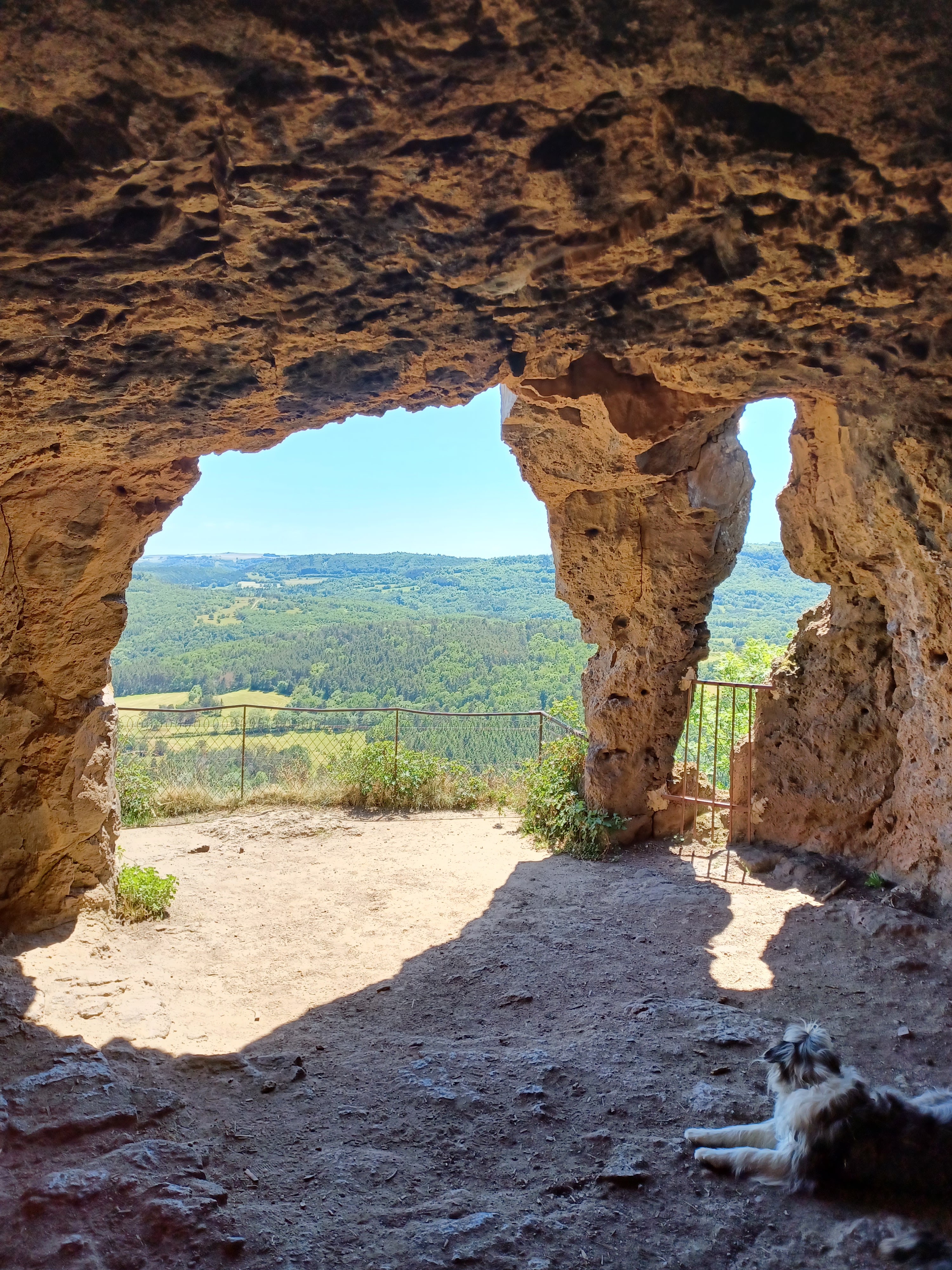 Photo n° 3 de l'avis de Taillade.e fait le 21/06/2022 à 12:28