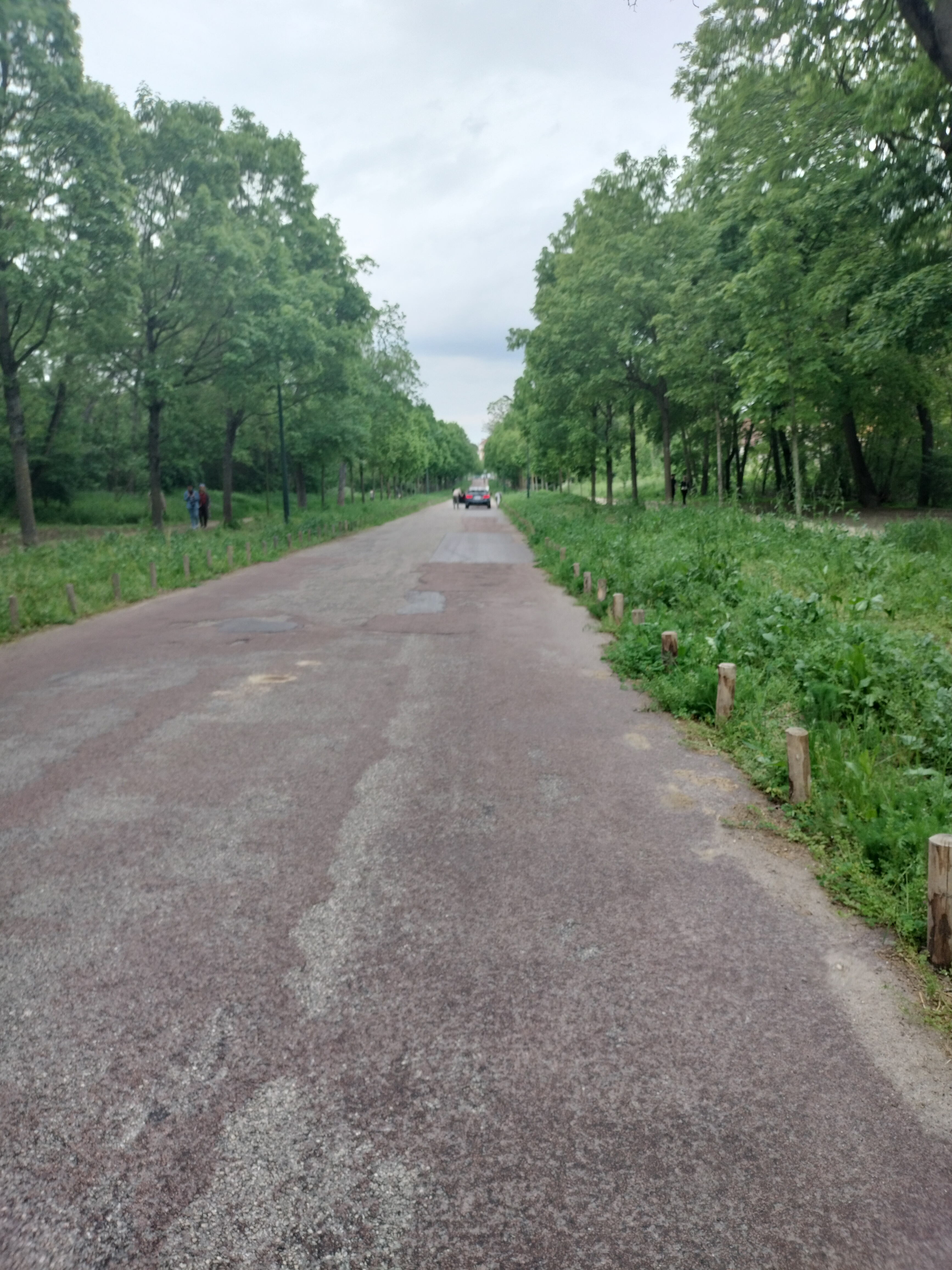 Photo n° 6 de l'avis de Linguère.a fait le 12/05/2023 à 19:09