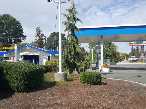 Brown Bear Car Wash en Tacoma