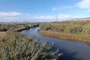 Llobregat river image