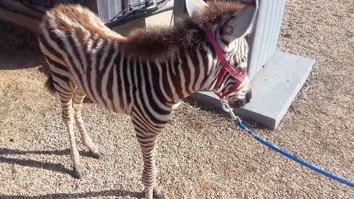 Tourist Attraction «Barn Hill Preserve», reviews and photos, 11370 LA-955, Ethel, LA 70730, USA