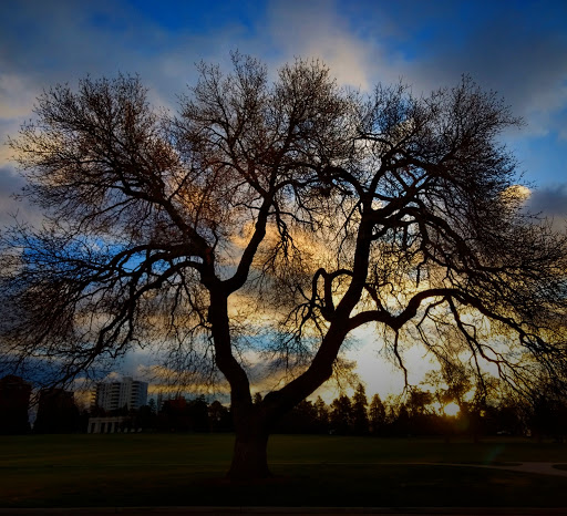 Park «Cheesman Park», reviews and photos, 1599 8th Ave, Denver, CO 80218, USA
