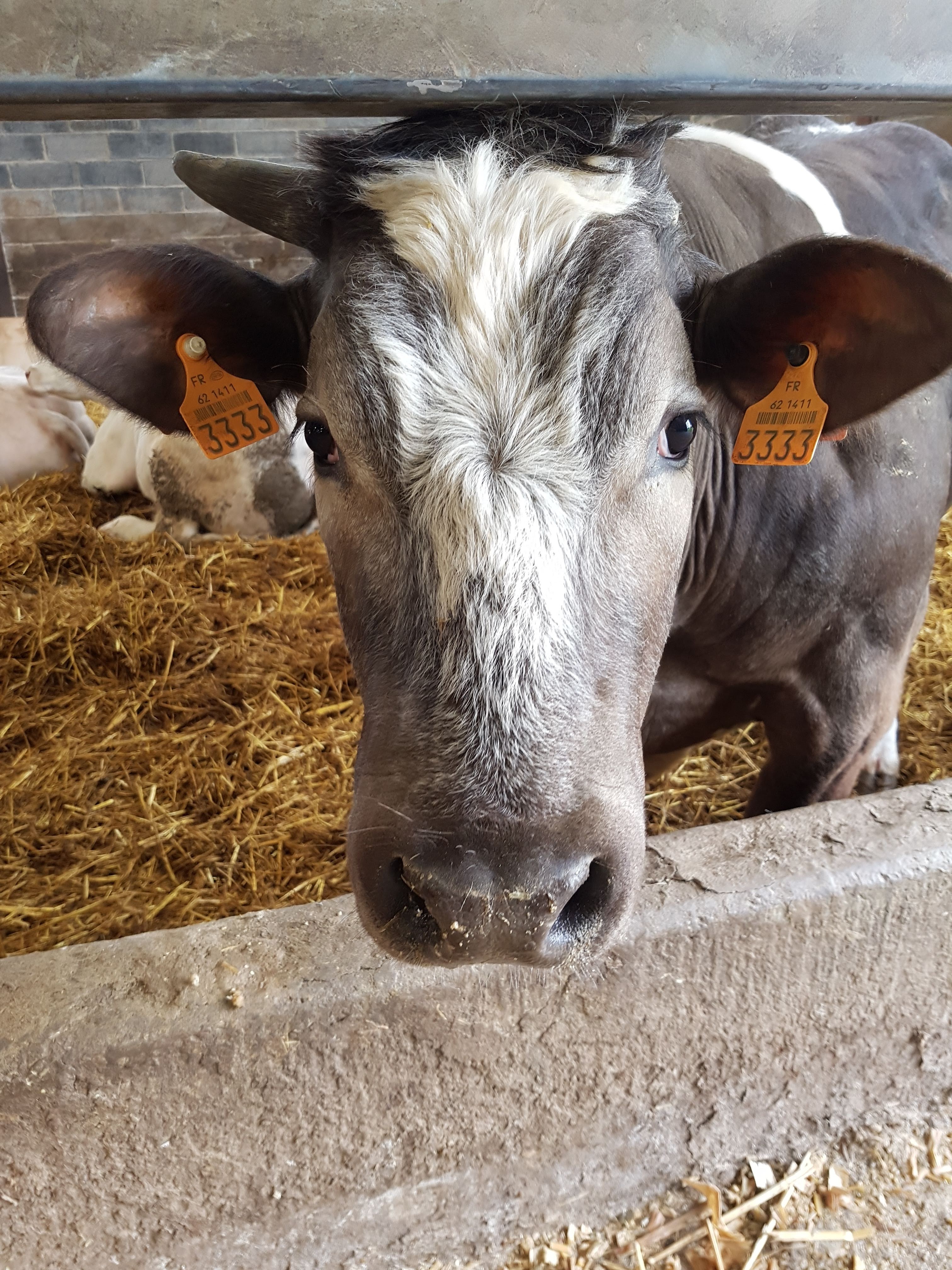 Photo n° 34 de l'avis de Alicia.P fait le 28/04/2019 à 13:27