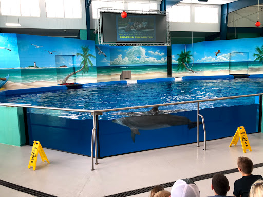 Educational Institution «Institute For Marine Mammal Studies», reviews and photos, 10801 Dolphin Ln, Gulfport, MS 39503, USA