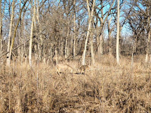 Nature Preserve «Thaddeus S. 