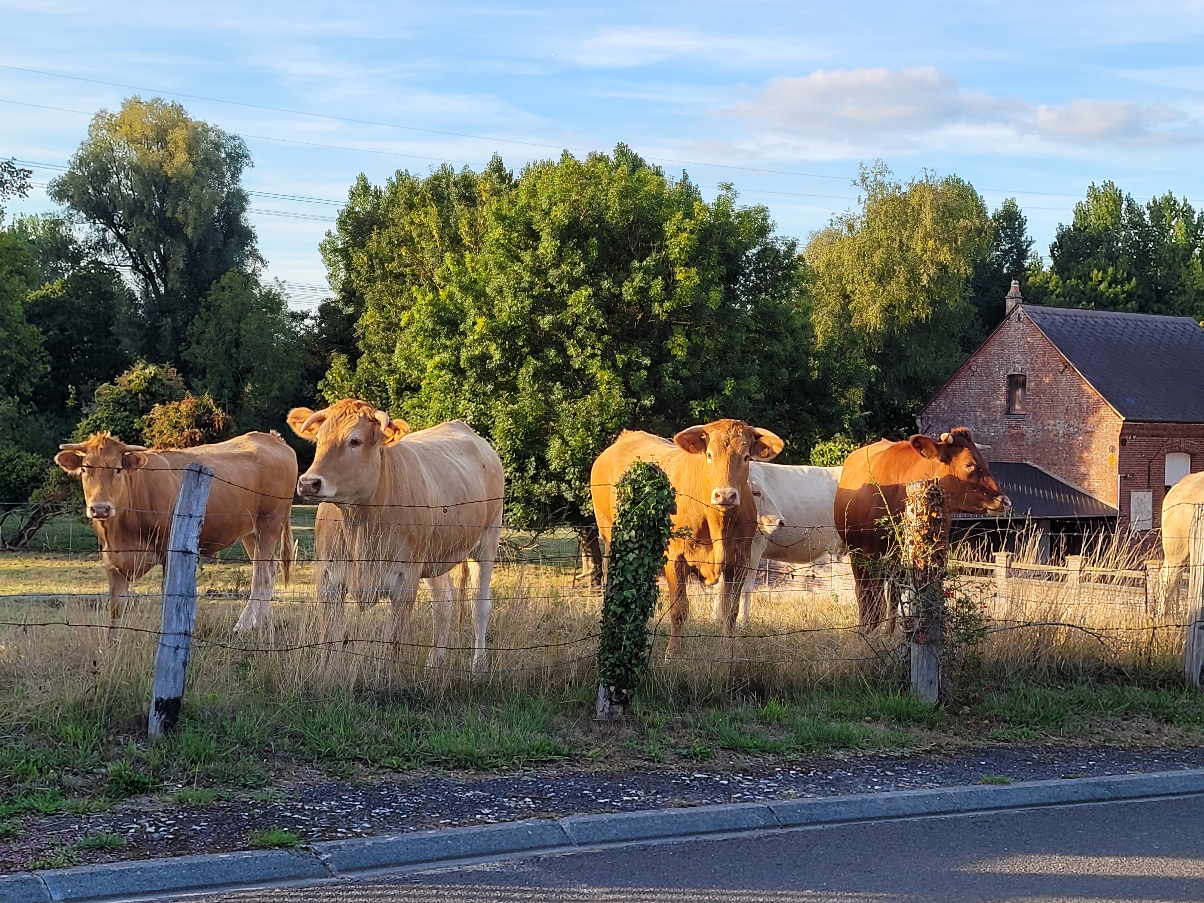 Photo n° 3 de l'avis de Frans.a fait le 14/09/2022 à 20:17