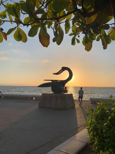 Cruise Agency «Adelman Travel», reviews and photos, 3424 S National, Springfield, MO 65807, USA