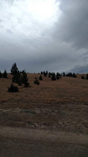 Drug Store «Walgreens», reviews and photos, 20812 Bothell Everett Hwy, Bothell, WA 98021, USA