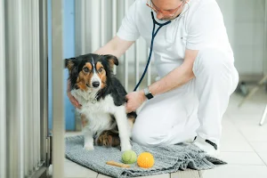 Tierklinik Ismaning image