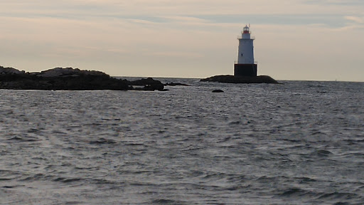 Nature Preserve «Norman Bird Sanctuary», reviews and photos, 583 3rd Beach Rd, Middletown, RI 02842, USA