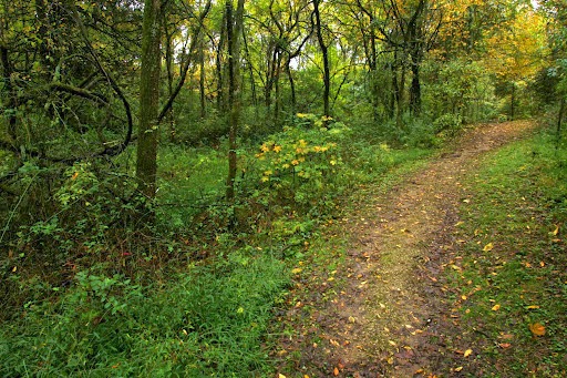 Non-Profit Organization «Lost River Cave», reviews and photos, 2818 Nashville Rd, Bowling Green, KY 42101, USA