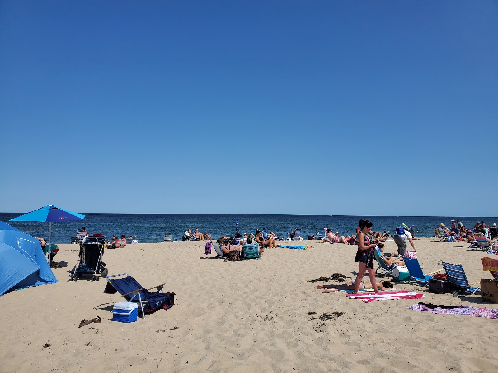 Scusset beach的照片 带有宽敞的海岸