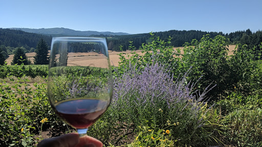 Winery «Walnut Ridge Vineyard», reviews and photos, 94739 Turnbow Ln, Junction City, OR 97448, USA