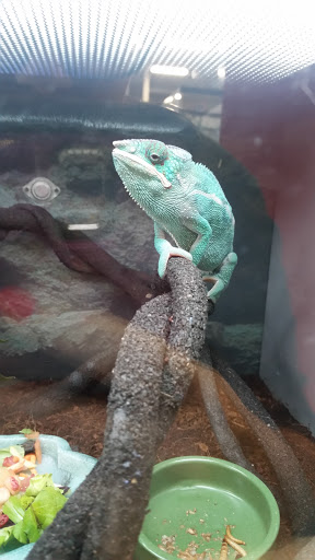 Pet Supply Store «Petco Animal Supplies», reviews and photos, 3680 Spencer Hwy, Pasadena, TX 77504, USA