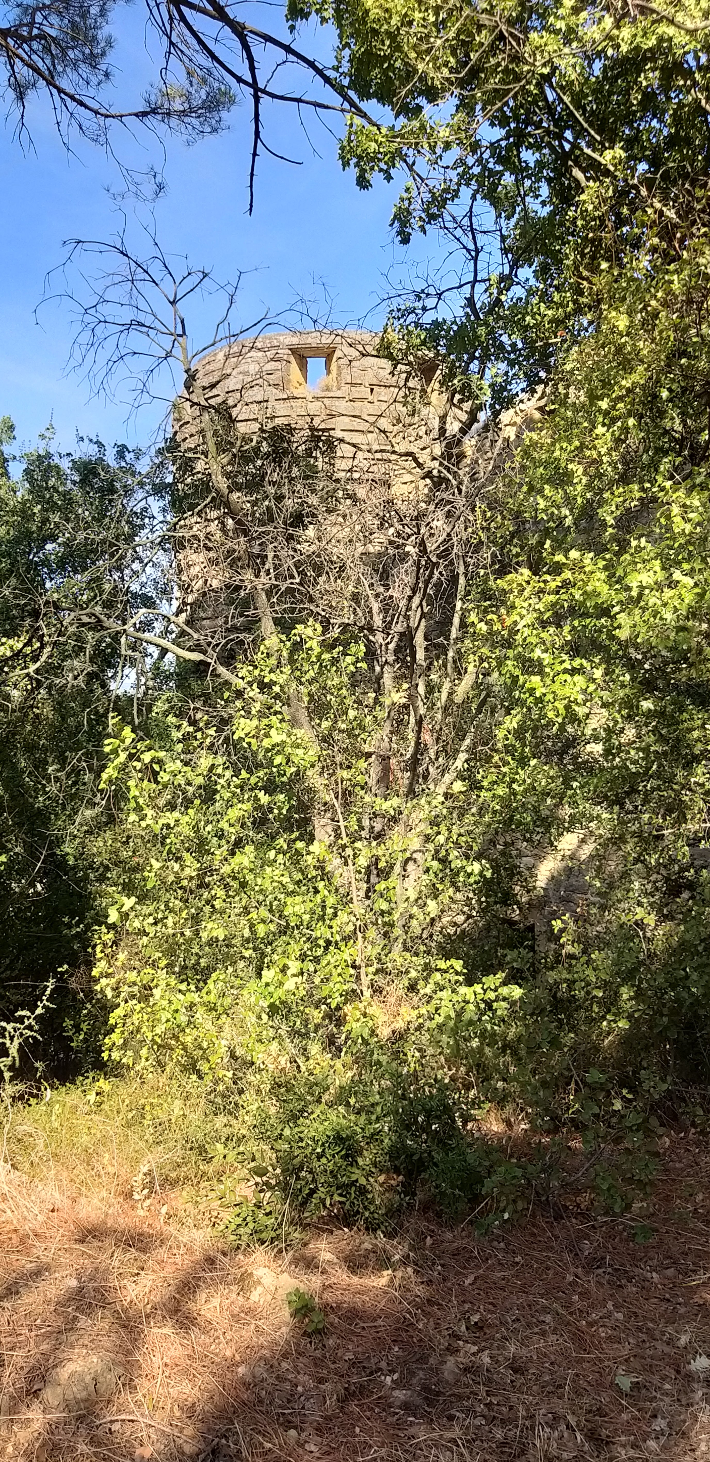 Photo n° 44 de l'avis de unmecdesannees80. fait le 27/08/2019 à 18:09