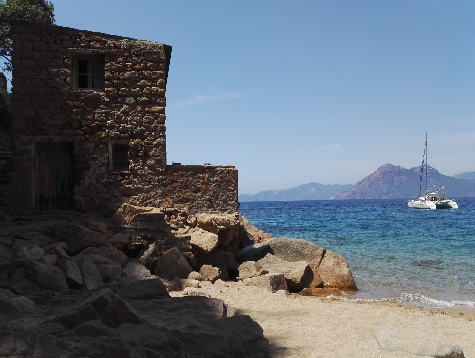 Foto de Ficaghjola beach con muy limpio nivel de limpieza