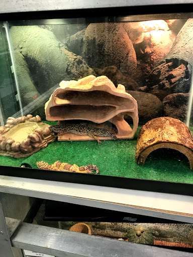 Pet Supply Store «Petland Discounts - Jamaica», reviews and photos, 17133 Hillside Avenue, Jamaica, NY 11432, USA