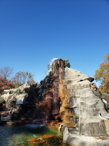 Zoo «Memphis Zoo», reviews and photos, 2000 Prentiss Pl, Memphis, TN 38112, USA