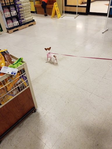 Pet Supply Store «PetSmart», reviews and photos, 11331 Causeway Blvd, Brandon, FL 33511, USA