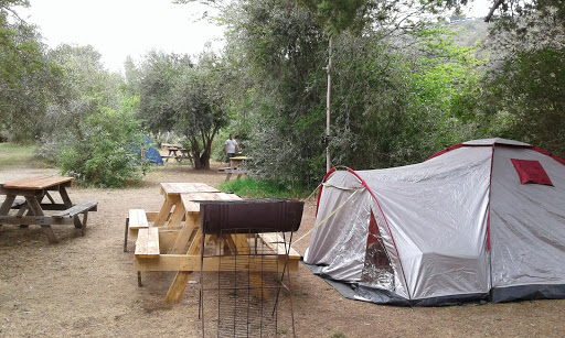 Camping Los Olivos