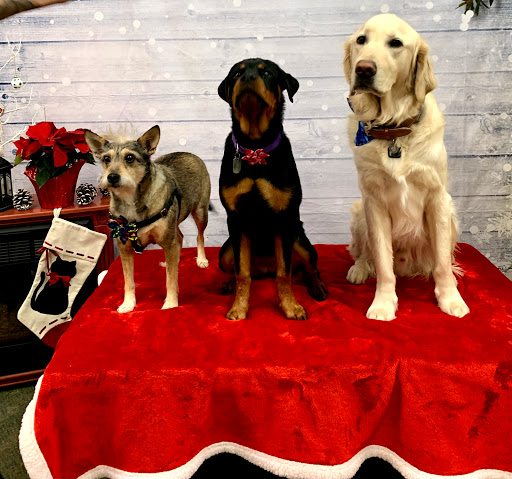 Pet Supply Store «The Natural Pet Enrichment Center», reviews and photos, 6720 Royalton Rd, North Royalton, OH 44133, USA