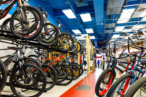 Bicycle Store «Bicycle Ranch», reviews and photos, 15454 N Frank Lloyd Wright Blvd, Scottsdale, AZ 85260, USA