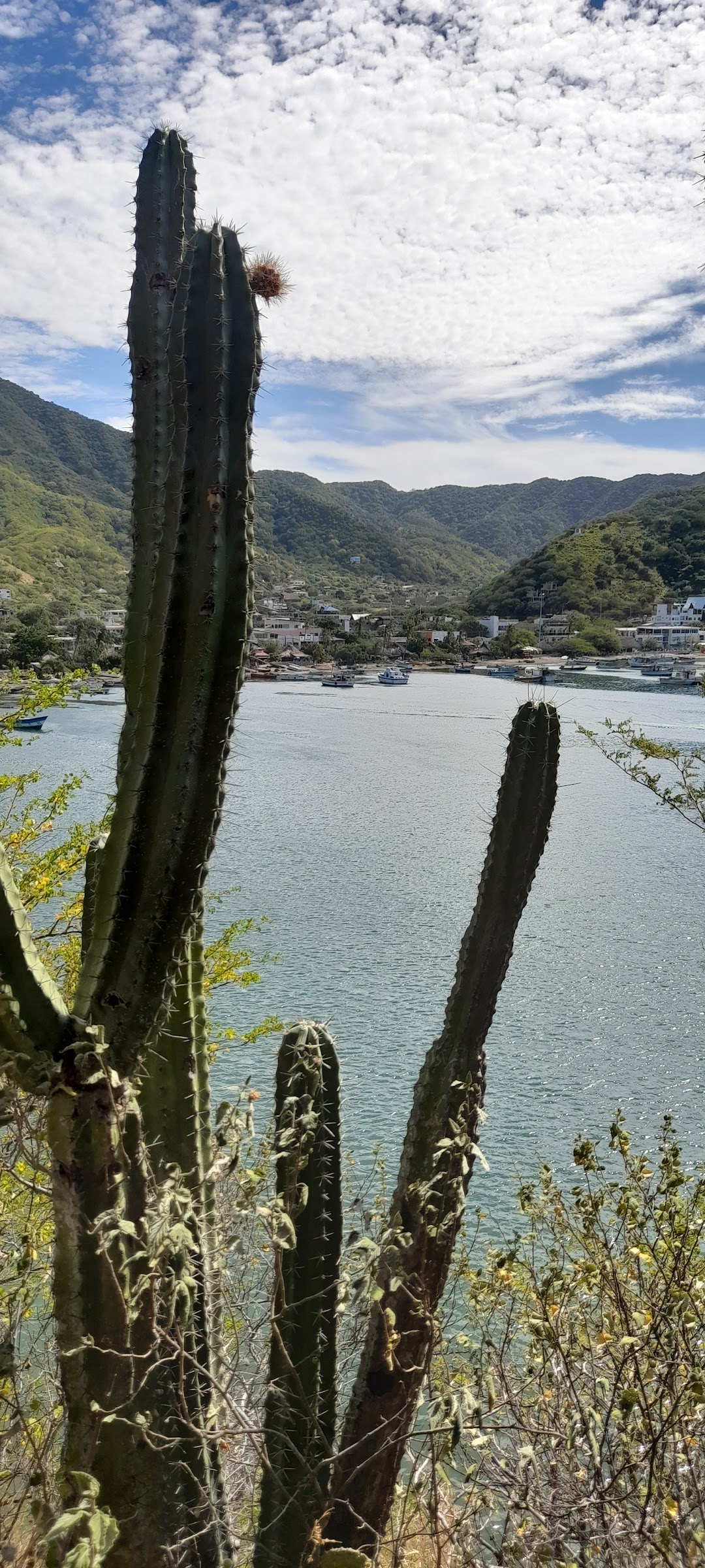 Sendero ecologico a Playa Grande