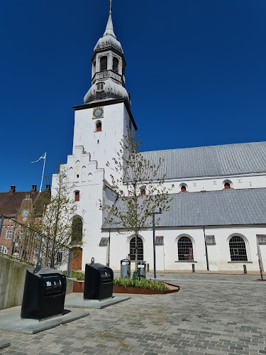 Anmeldelser af Budolfi Kirke i Aalborg - Kirke