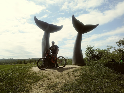 Monument «Reverence (Whales Tails)», reviews and photos, I-89, South Burlington, VT 05403, USA