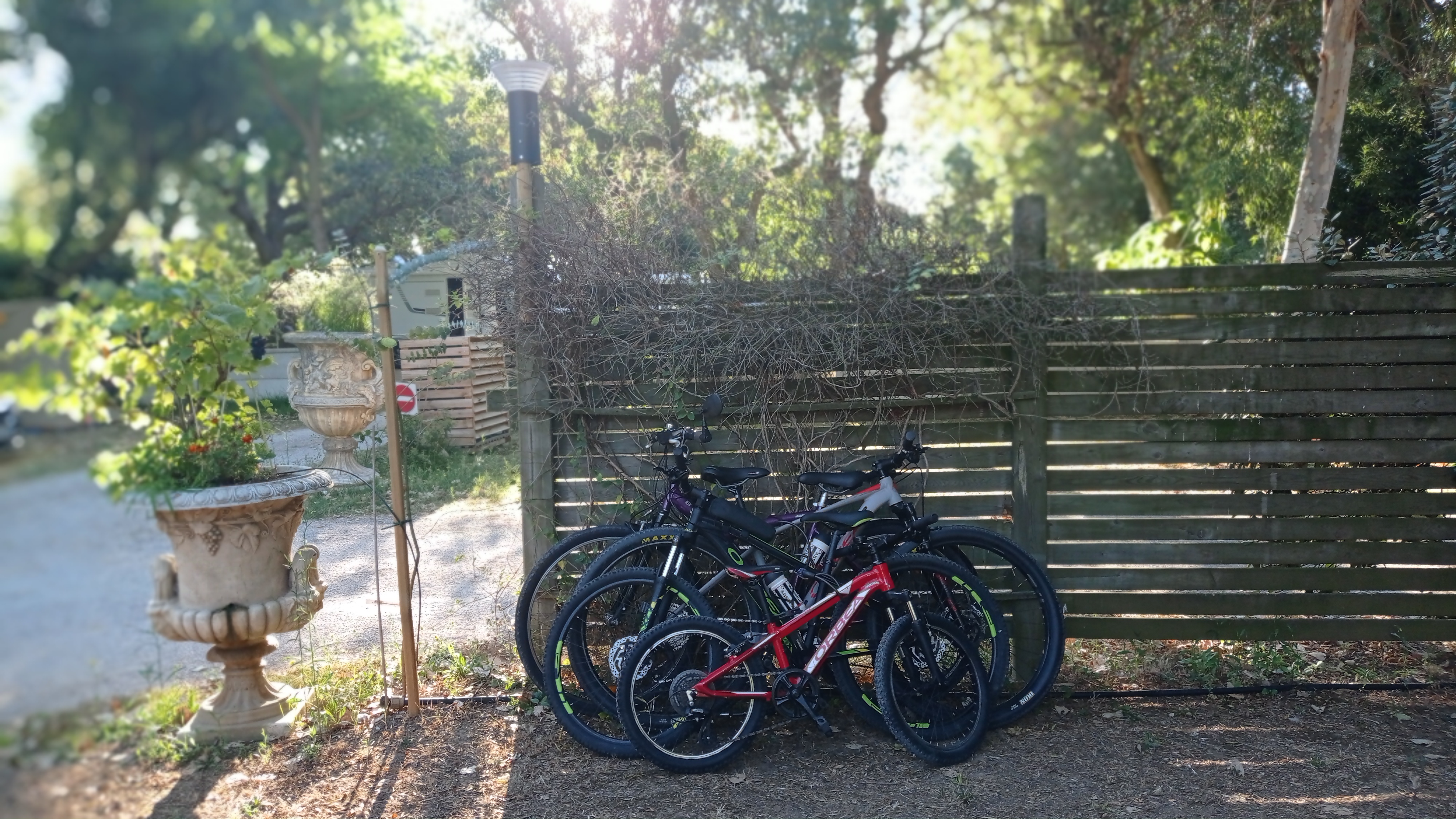 Photo n° 4 de l'avis de Koldo. fait le 17/08/2020 à 09:20