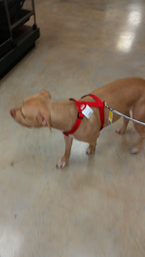 Pet Supply Store «Pet Depot», reviews and photos, 244 Seville St, Florence, AL 35630, USA