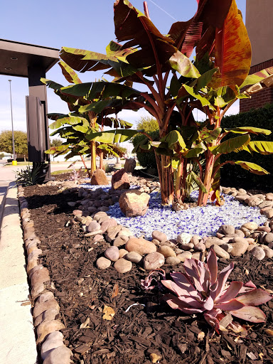 Fast Food Restaurant «Chick-fil-A», reviews and photos, 3705 Main St, The Colony, TX 75056, USA