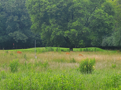 Golf Course «Indian Boundary Golf Course», reviews and photos, 8600 W Forest Preserve Ave, Chicago, IL 60634, USA