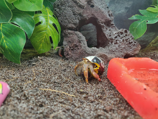 Pet Supply Store «Petco Animal Supplies», reviews and photos, 645 S Green Valley Pkwy, Henderson, NV 89052, USA