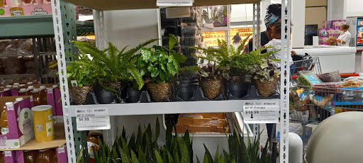 Warehouse club «BJ’s Wholesale Club», reviews and photos, 825 Pelham Pkwy, Pelham Manor, NY 10803, USA