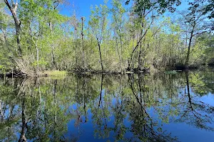 Four Creeks Wildlife Management Area image