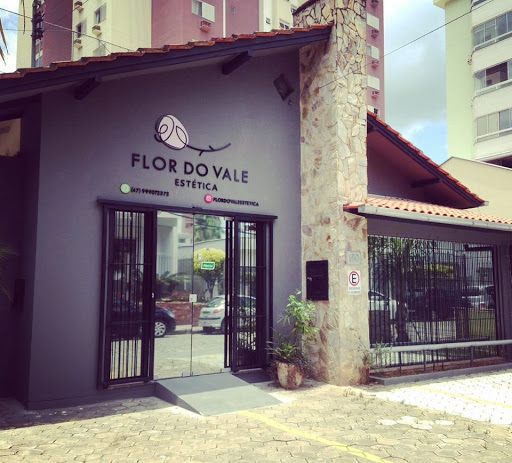 Logo da empresa - Flor do Vale Estética