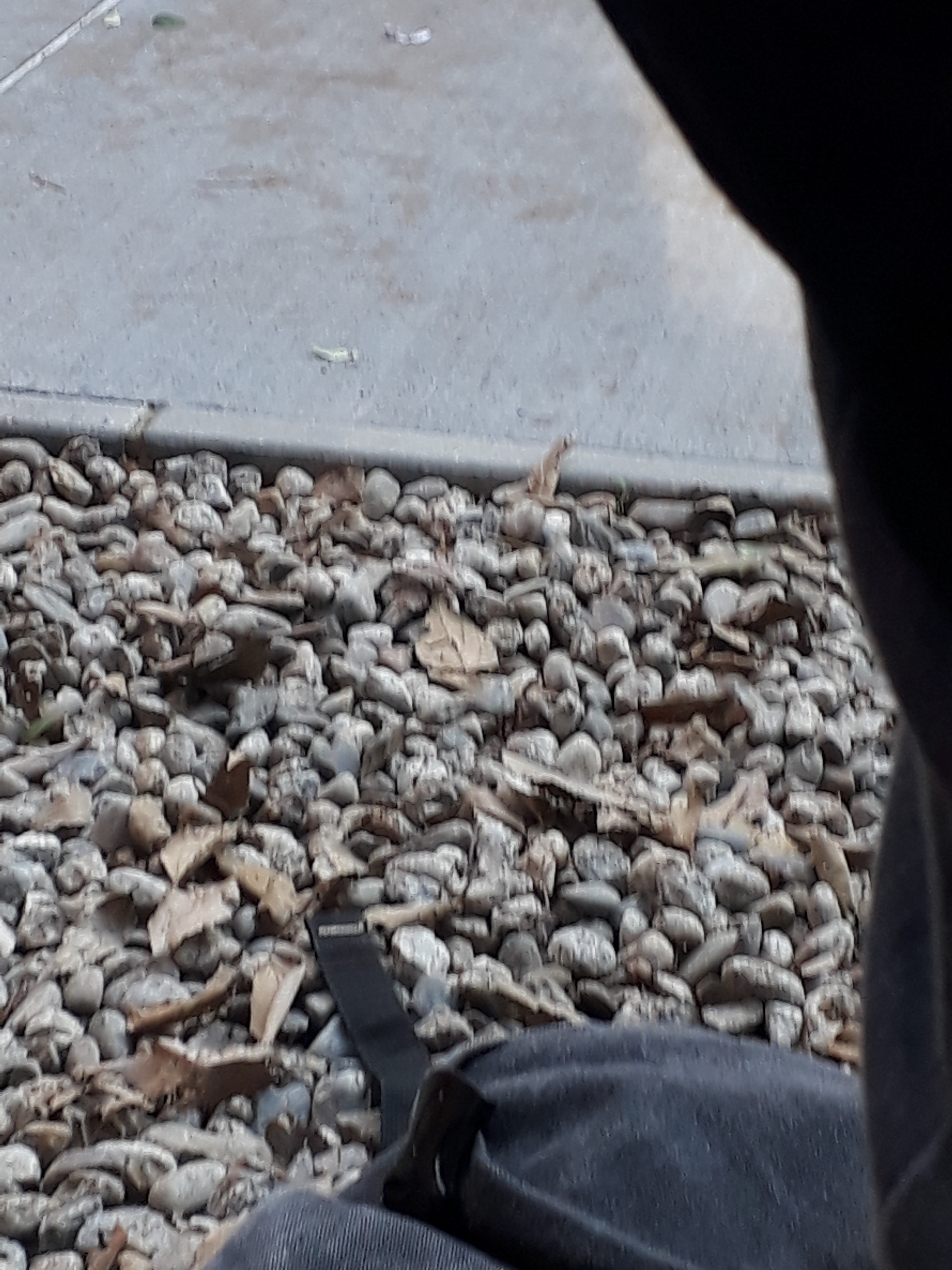 Photo n° 12 de l'avis de William.m fait le 11/12/2018 à 12:09