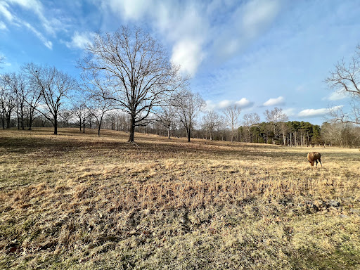 Visitor Center «Golden Pond Visitor Center & Planetarium», reviews and photos, 238 Visitor Center Dr, Golden Pond, KY 42211, USA