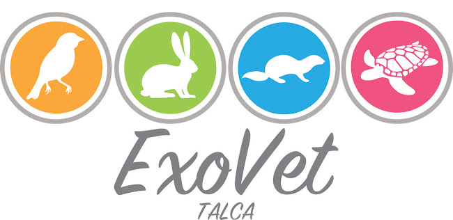 Opiniones de ExoVet Talca en Talca - Veterinario