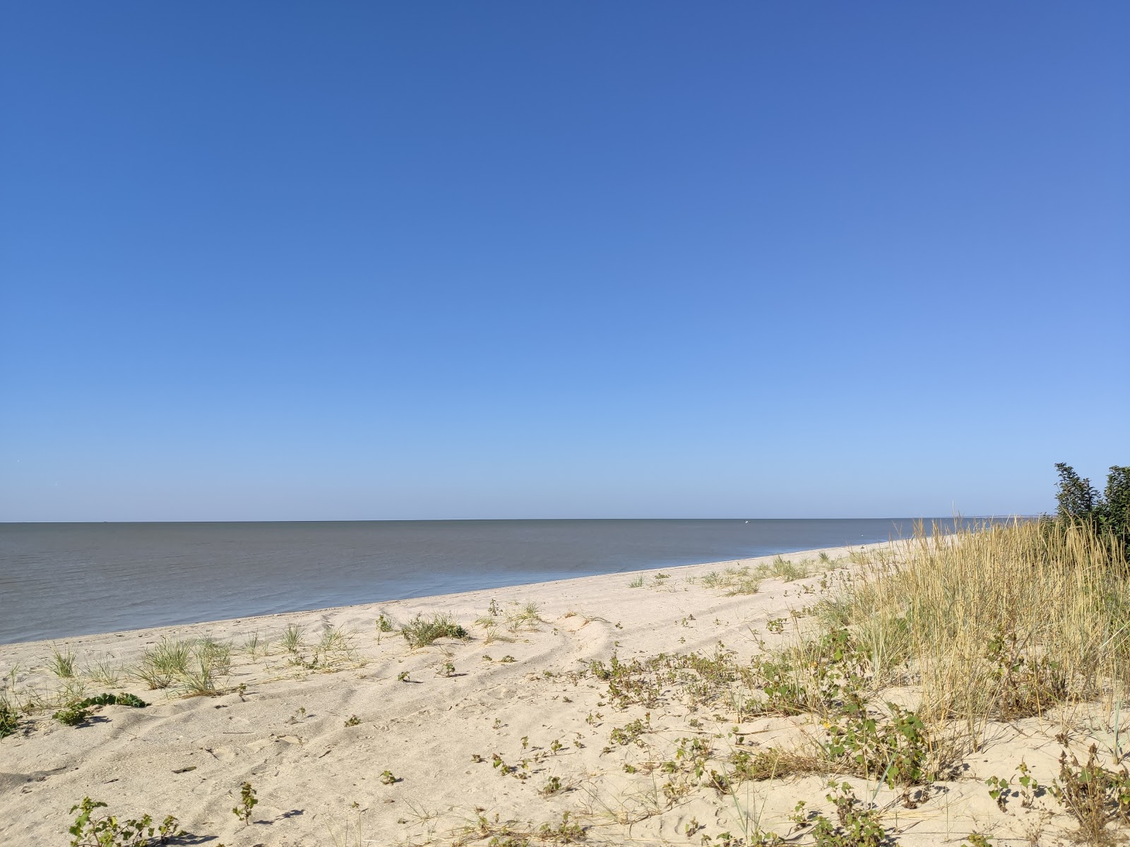 Φωτογραφία του Kosa Beglitskaya με φωτεινή άμμος επιφάνεια