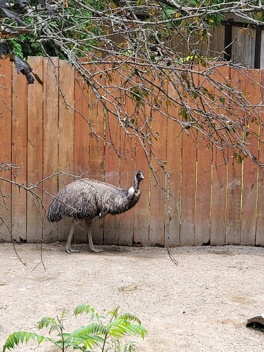 Zoo «Utica Zoo», reviews and photos, 1 Utica Zoo Way, Utica, NY 13501, USA