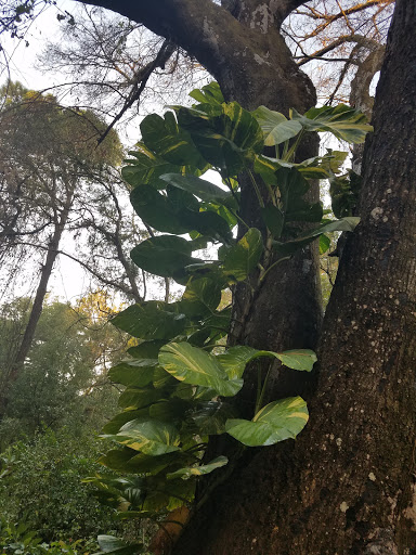 Park «Lake Rogers Park», reviews and photos, 9010 N Mobley Rd, Odessa, FL 33556, USA