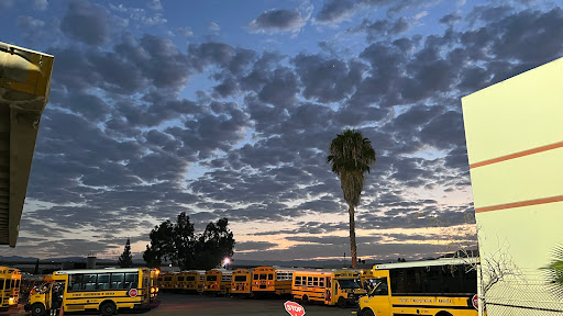 Student Transportation-America