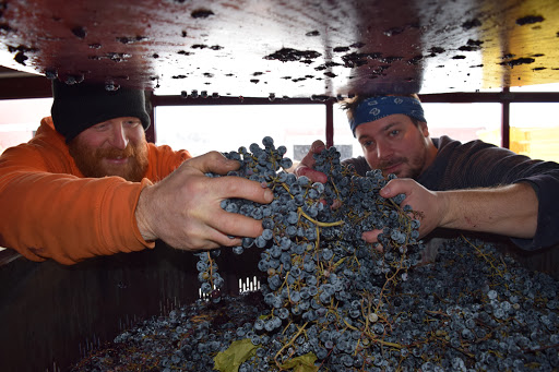 Winery «Boyden Valley Winery & Spirits», reviews and photos, 64 VT-104, Cambridge, VT 05444, USA