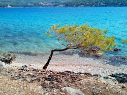 Paklena beach'in fotoğrafı doğal alan içinde bulunmaktadır