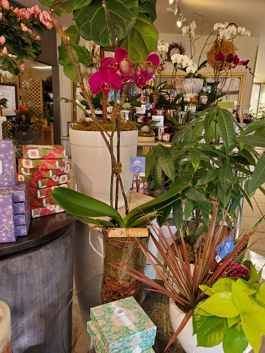 Florist «Dr Delphinium Flower & Orchid House», reviews and photos, 513 W Campbell Rd, Richardson, TX 75080, USA