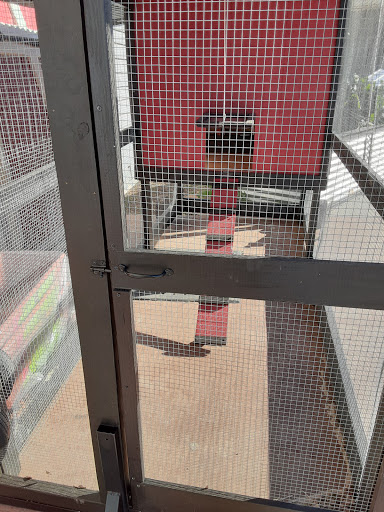 General Store «Homestead General Store», reviews and photos, 7781 Gholson Rd, Waco, TX 76705, USA