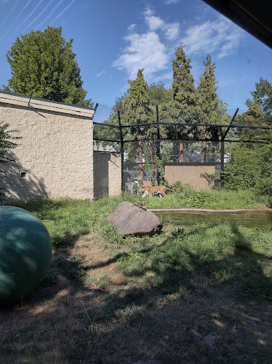 Zoo «Zoo Boise», reviews and photos, 355 Julia Davis Dr, Boise, ID 83702, USA